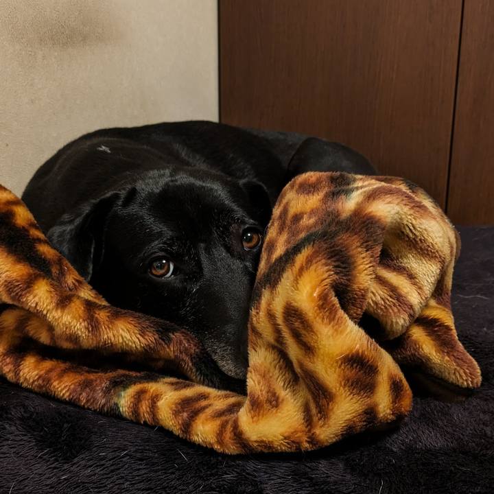 0d6bc169 4d28 4497 92e2 ca0b83bdde73 1710241118391