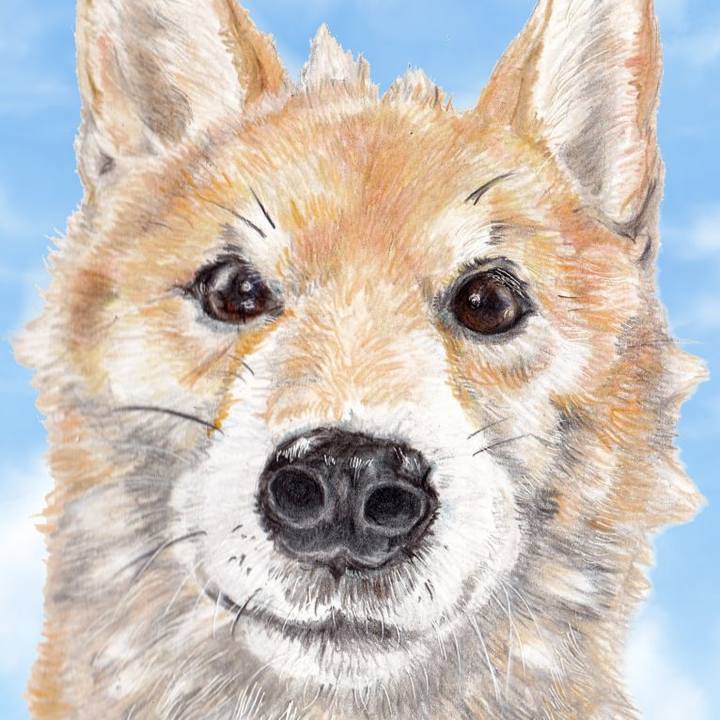 0d6bd025 99ed 4430 b126 2abb258eb57c 1673269032212