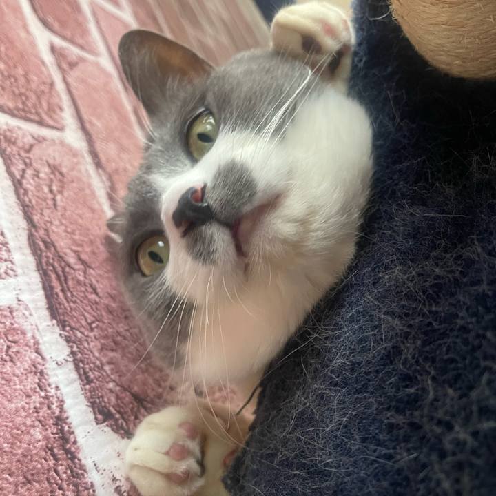 0d6c0196 5735 4dc8 8e23 6a59a475e4c8 1741749962397