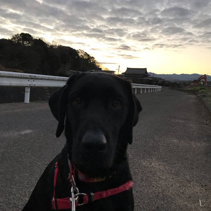 0d6c18b8 4906 439b 83cf 85f393646e7d 1546296543345