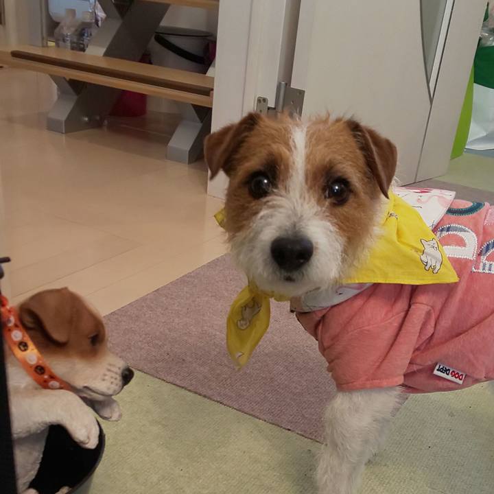 0d6c55a5 30b3 4259 b5b0 ad87eb75bf8d 1555717140328