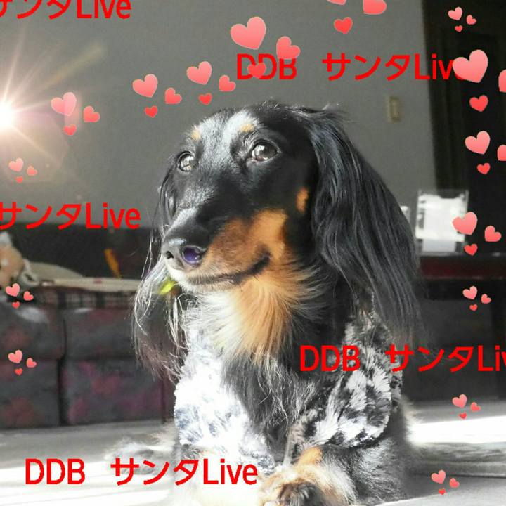 0d6c5adb 4906 47d6 a84c 68ab20a1453e 1545529159054