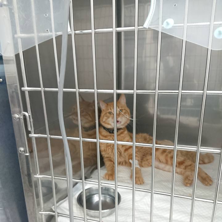 0d6c5f2e 3c85 4518 baae be03e44a6e3e 1653816298732