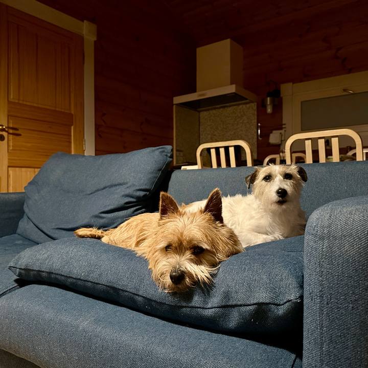 0d6c87fc 71cc 428c b320 f2ce4afbc95d 1769781269139