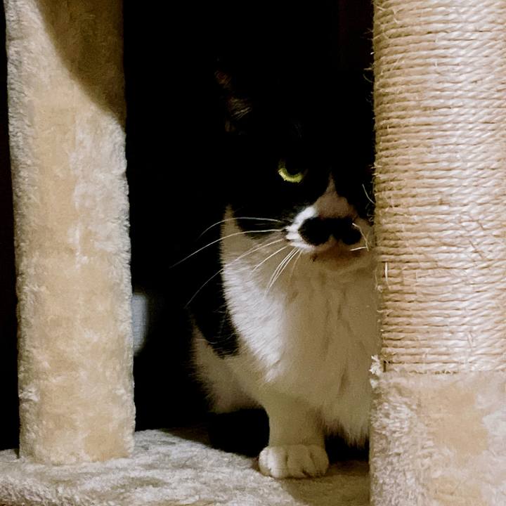 0d6c88e6 b080 4ae9 b1c8 92a53b90849c 1669089763758