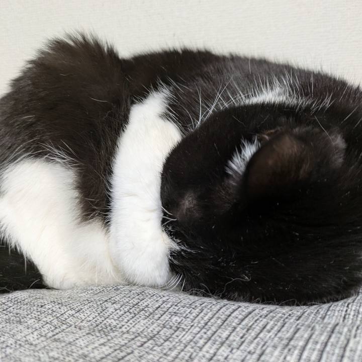 0d6c9976 1578 4a95 87dc f038cc6e74e9 1768299294397