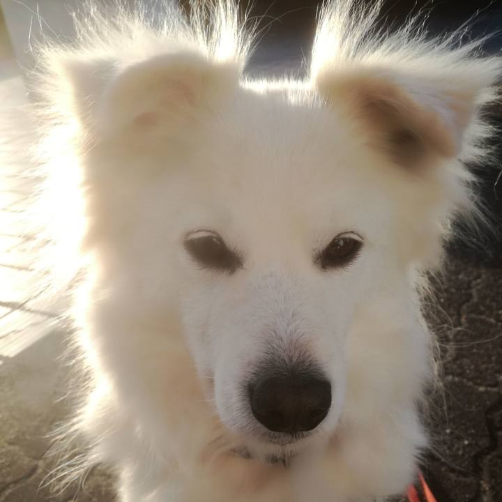 0d6cadf3 58dc 46a3 a32e fe78755891ab 1516841318627