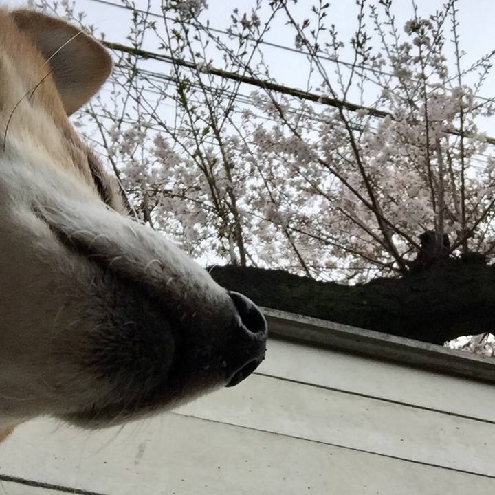 0d6cb36c 9838 4e0f a4a4 a6a2b60e99c4 1585627834033