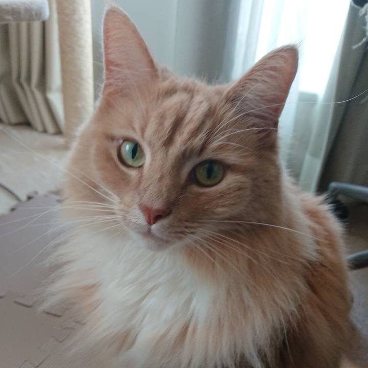 0d6ce13c 1c1e 42db 8288 9d8f56c926b5 1522634545938