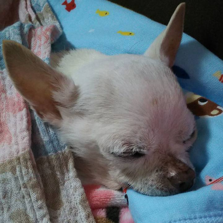 0d6d019b 984e 4eb0 ae55 79e2a13aa2cc 1599430511243