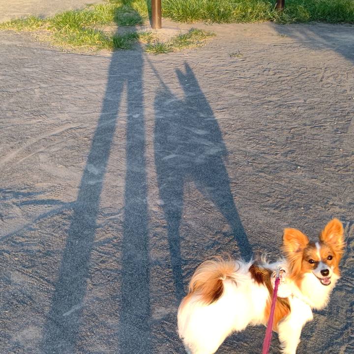 0d6d0757 ab50 4fc4 9269 61d25c0f7c77 1627727834322