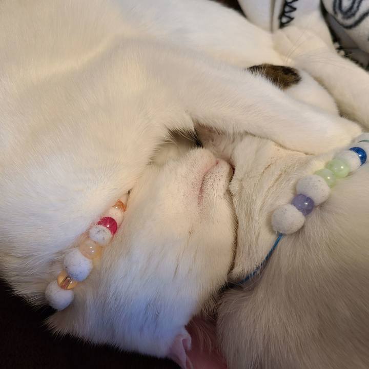 0d6d2e7e 7a16 4aa9 9bf8 23fa580f14f3 1668909718554