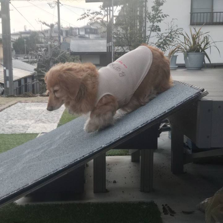 0d6d390e 8449 4bfe bfa6 d0fe28923a4e 1741597076350