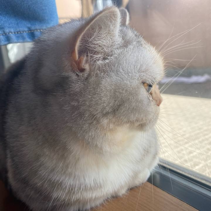 0d6d64b0 24f8 4850 84f7 37672bc6811c 1739415728059