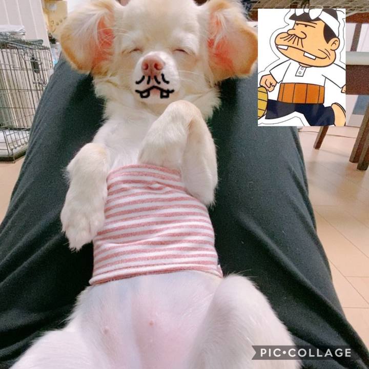 0d6d66c3 aed3 4c19 b200 14b3175de3bd 1601000693568