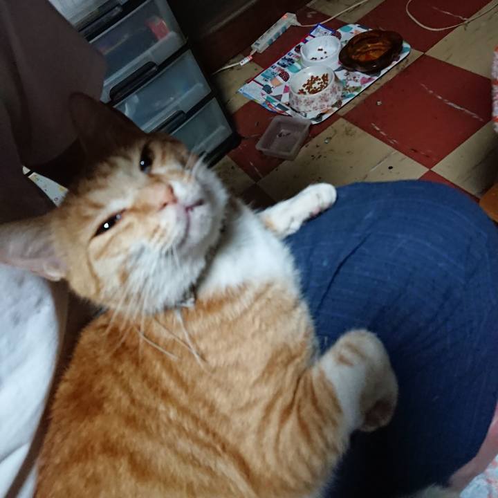 0d6df0ac 48b8 4ea2 8ccf 823dd5f61c42 1593631395912