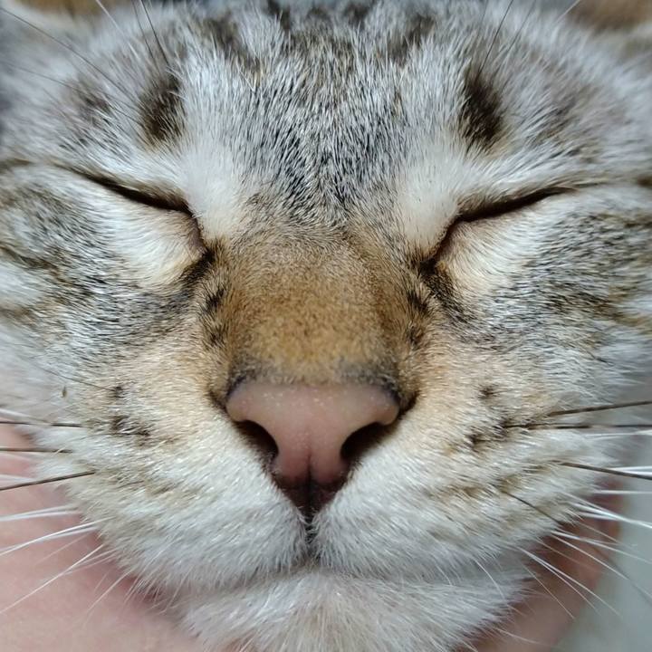 0d6e058a fcba 4a2c b740 8ed39eff842f 1658400008552