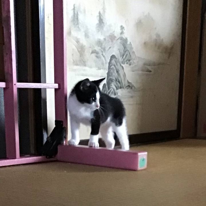 0d6e0b59 d05b 423f 831f b78db6d29a44 1624344317414