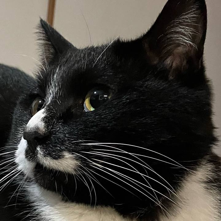 0d6eb089 bd82 4b46 a0b0 3f11c6601cf1 1684674684208