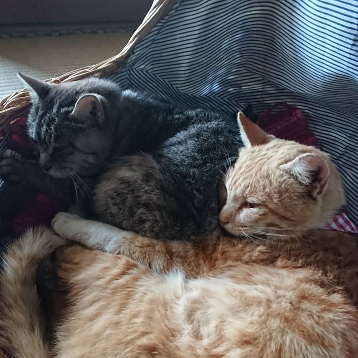 0d6eb91e 9f5c 4129 ba13 e20f473e5eaf 1558248499609