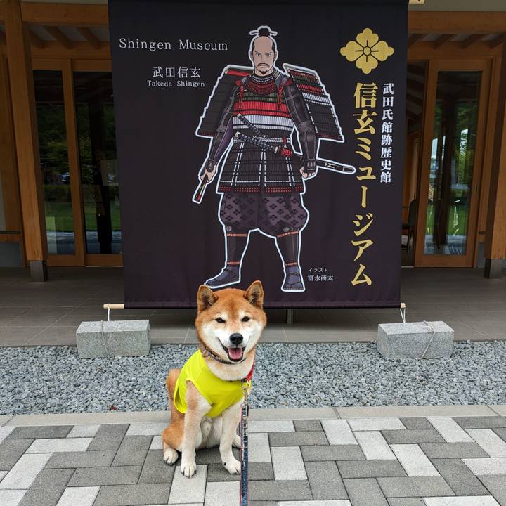 0d6ec9bd 40fc 45ec aeaf 247acbeed6a1 1716824482297