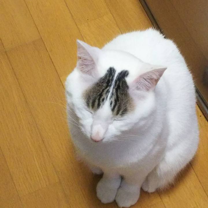 0d6ee306 823e 4d5f 82ee 6fd5d3e3329e 1524827545974