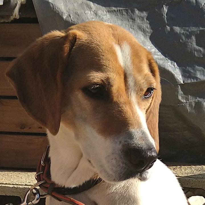 0d6ee63e 9c36 4dc3 9298 58f59ef797bf 1649135375287