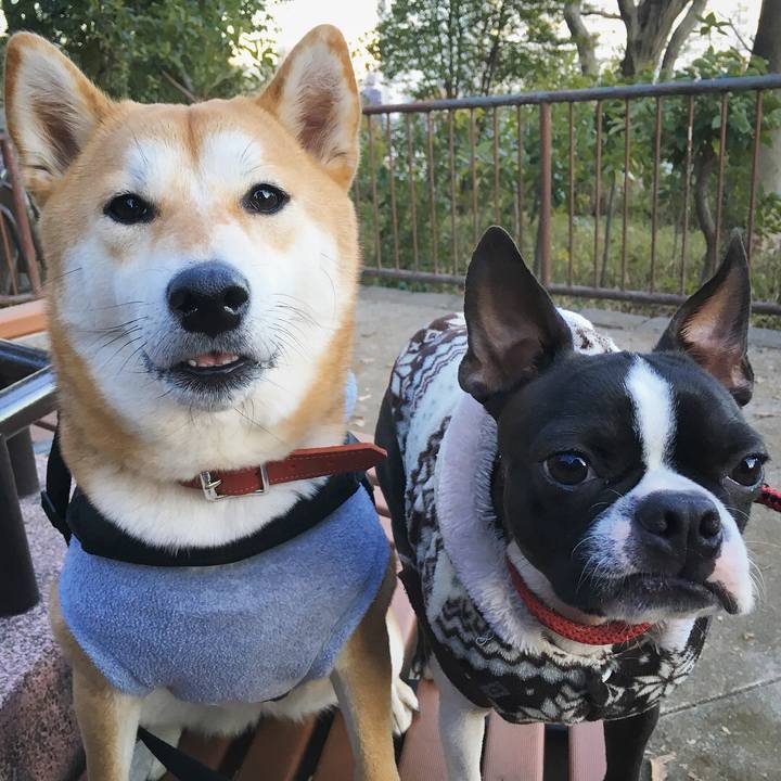 0d6eee3c 4868 4239 8659 fa826829d335 1517996709632