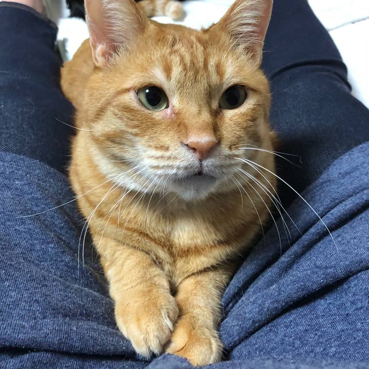 0d6f1831 1ba6 4843 9a7c 90b22f2f4727 1616751739629