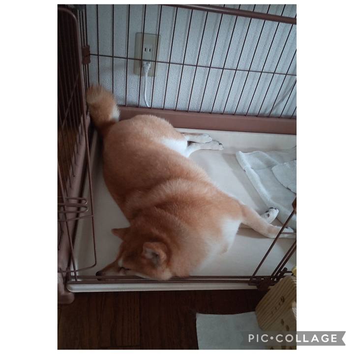 0d6f58d8 057e 4576 a63a 7e1bf48468dd 1757733855735