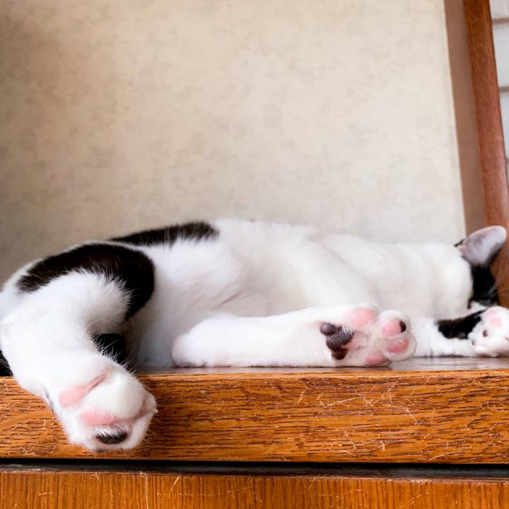 0d6fbd2e c161 4c95 ba4c 552b82e7d609 1564281042646