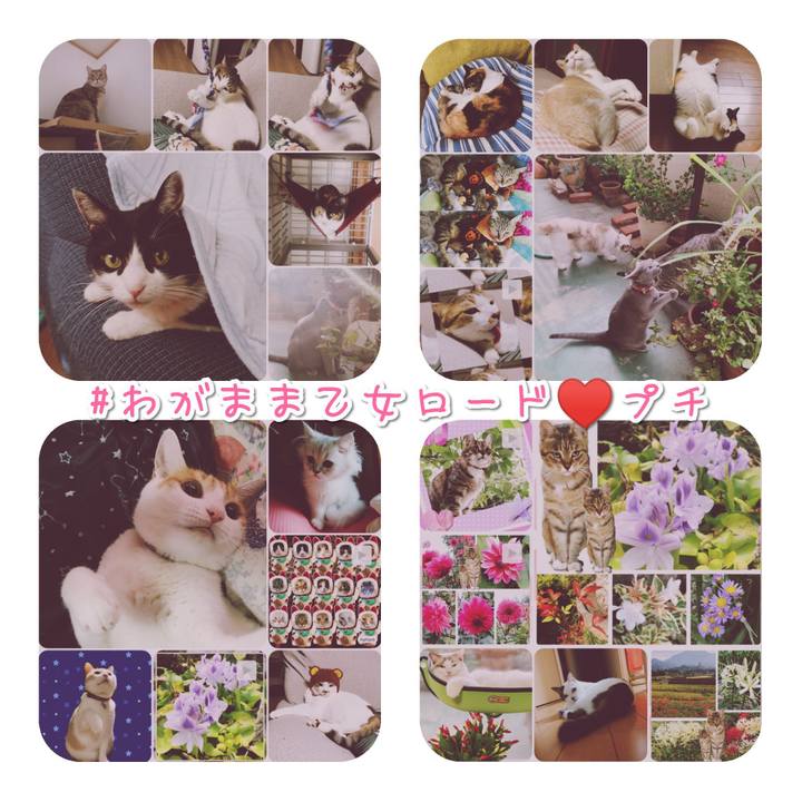 0d6fdf8c 20c3 4127 9fe2 011e6013199a 1569928250067