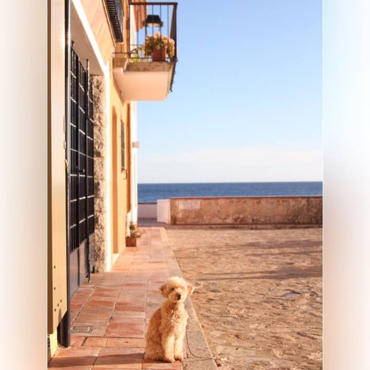 0d701547 f2ac 4c99 a267 d53f9fefef4d 1517395208994