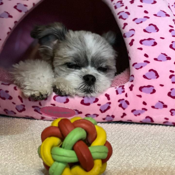 0d703963 f62c 4f14 a100 9c9ed6f6bc65 1653987447513