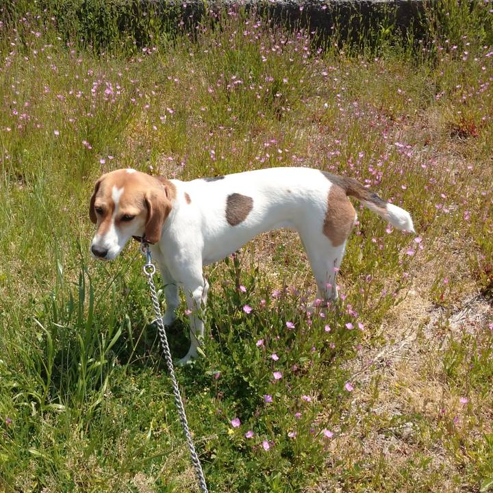 0d703d08 96ca 4a33 bc72 a2258d26d84d 1588941498243