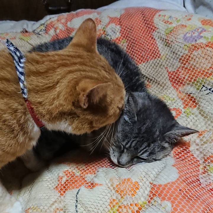 0d70679d fe76 4a89 982c a5de80b0da67 1603276124264