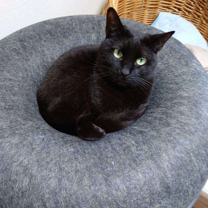 0d7084e0 ee17 4003 bdac de6a682b88e0 1748408297727