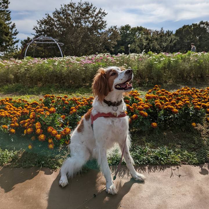 0d70923a 9e98 450b a463 a83280c08aba 1636004550491