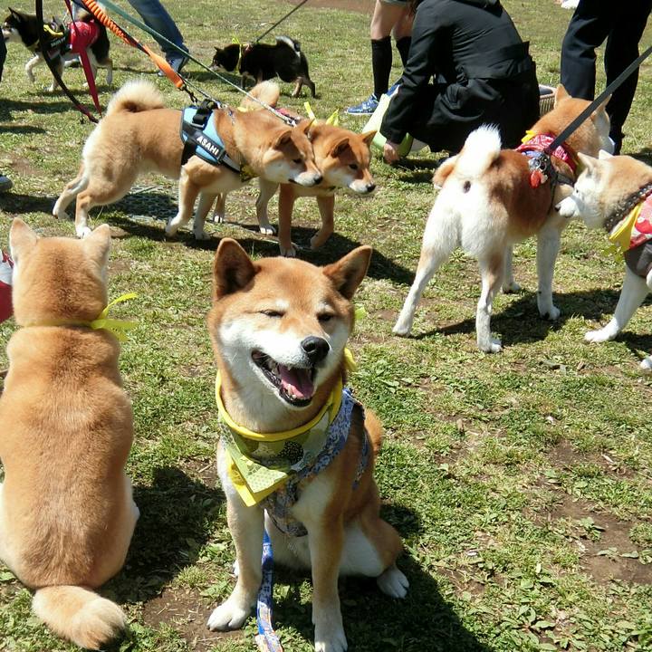 0d70af9e 249d 4d08 838f 91a3607e3110 1555165511319