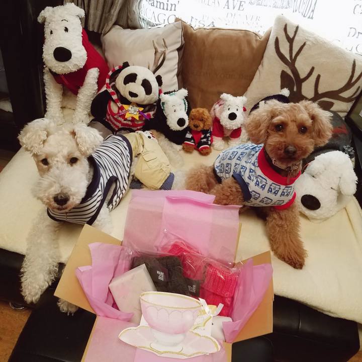 0d70e2df 8c5c 47ba 9025 0d33ed45a901 1549852502147