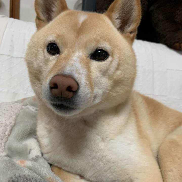 0d714a56 1070 4659 a478 649faadafef1 1644737828161