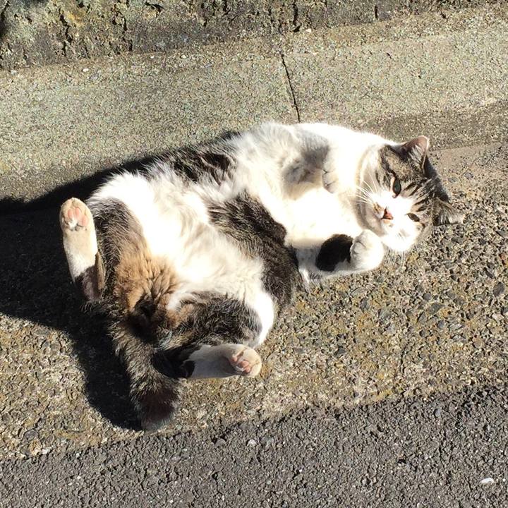 0d714c6b 732e 40f1 b81a 9028dbf202cf 1513331696941