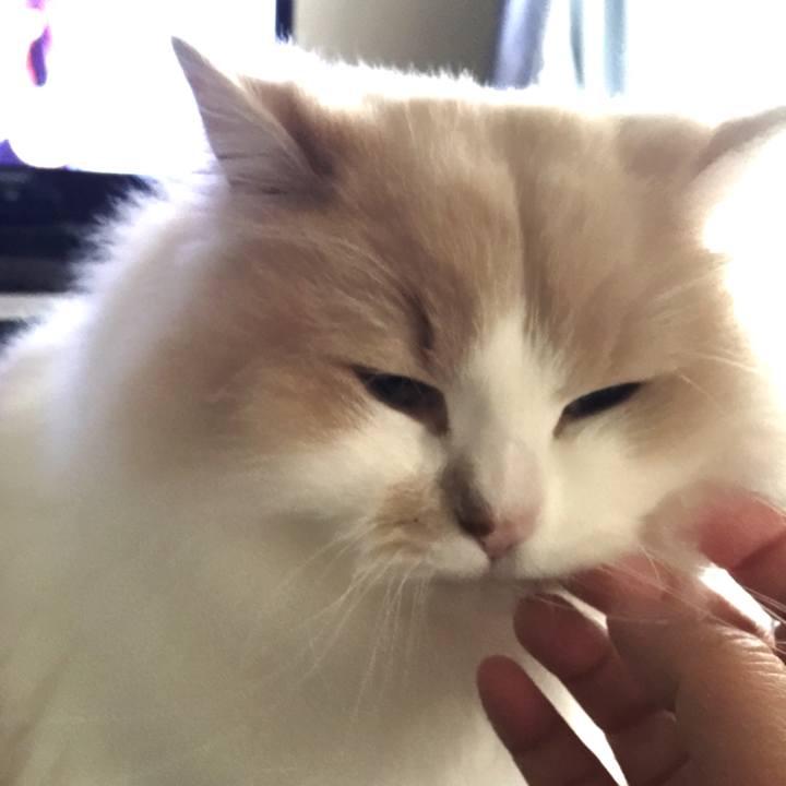 0d716baa be4e 4b3c b7e5 0b7ddbd27008 1509806109019