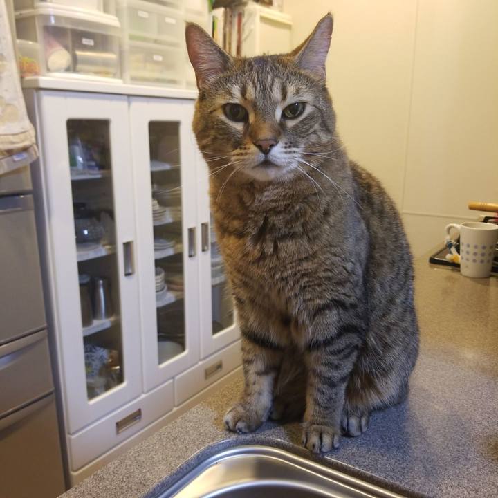 0d71c472 3745 46b7 bc38 496191861cb6 1580765383730