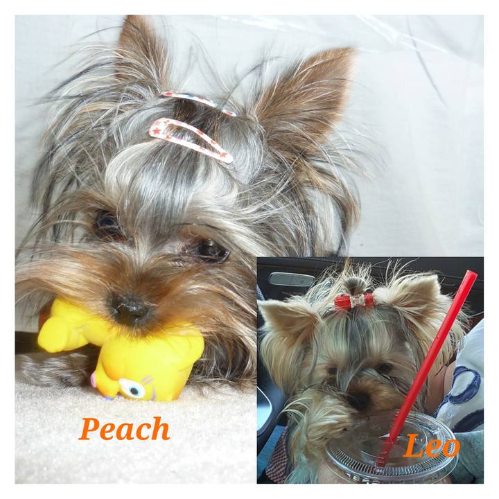 0d71c9fe 4369 4b93 b098 3fc8d58133f2 1602867847845