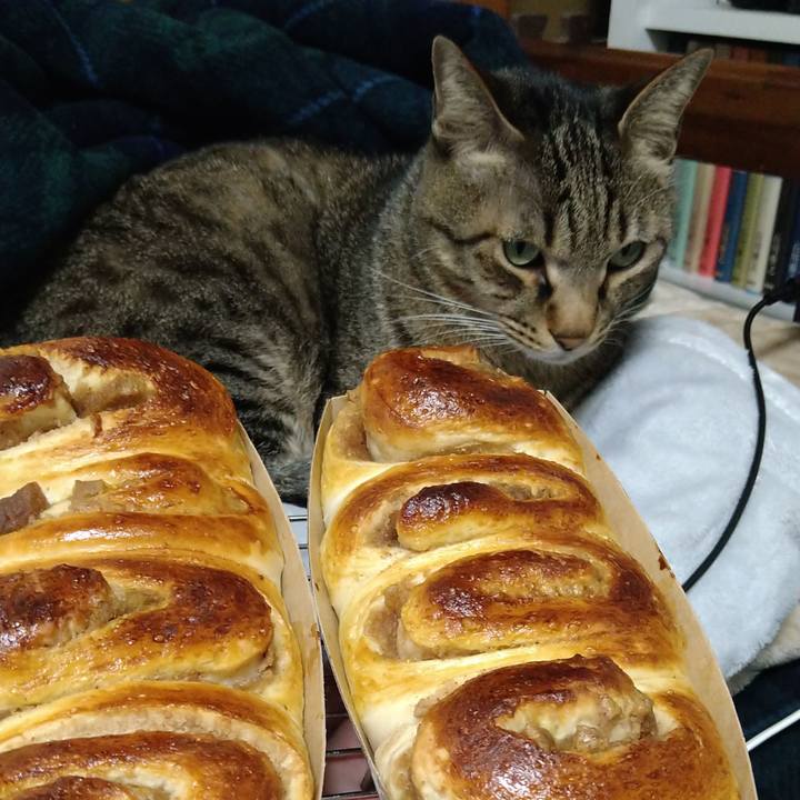 0d71fa78 9eec 4852 83cc f7df1fd3aae1 1671350965327