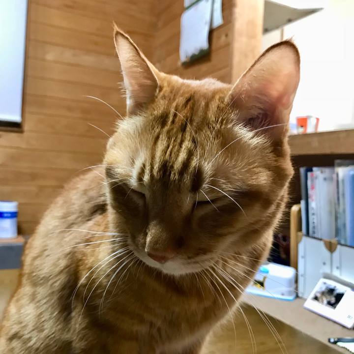 0d721648 d86c 468a 9715 e840451ce8e8 1512049347020