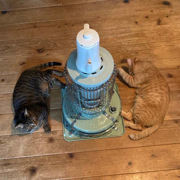 0d7217e6 7218 44ef bb4c 5708c34db2d5 1768018515932