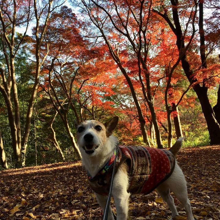 0d721a90 b5c7 4cb0 aa4d 9a9762c7a468 1638664902109