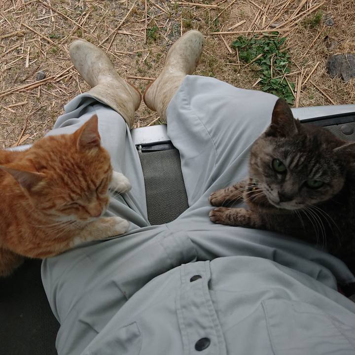 0d724665 34bd 47b3 aa0c 9c3827b8e30f 1592817465917